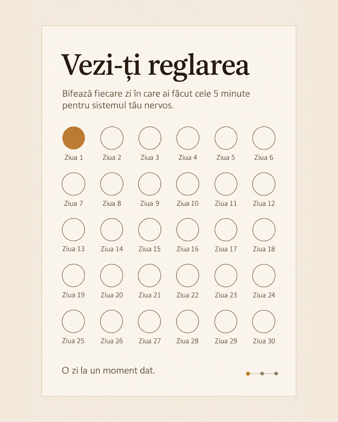 Pagina 8 din 10
